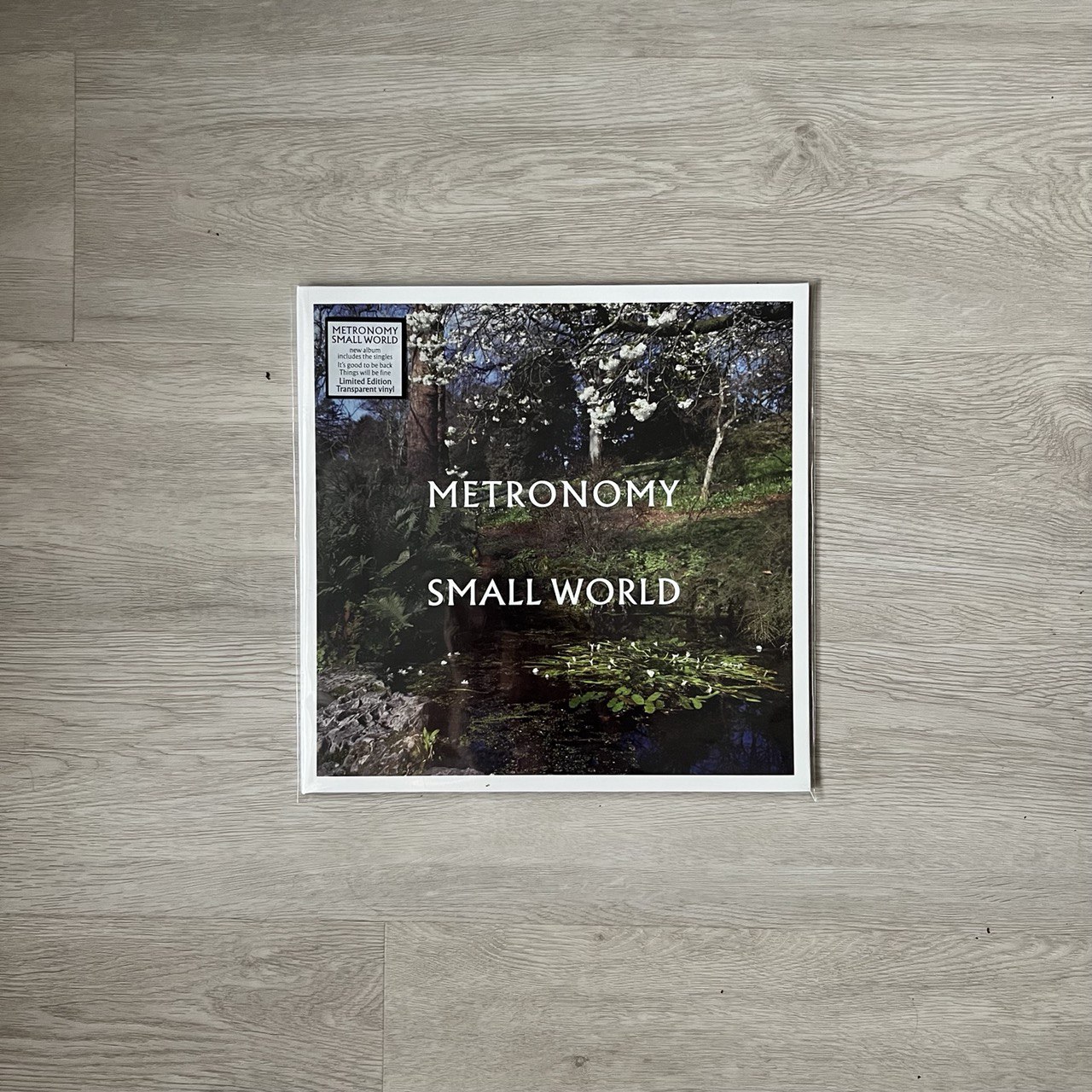 Виниловая пластинка Metronomy -- Small World 
